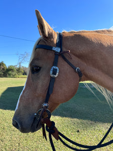 Complete Snaffle Bit Setup