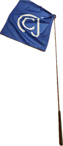 Training Flag With Handle