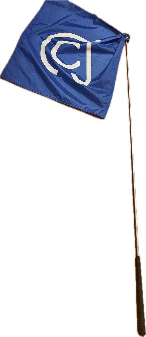 Training Flag With Handle