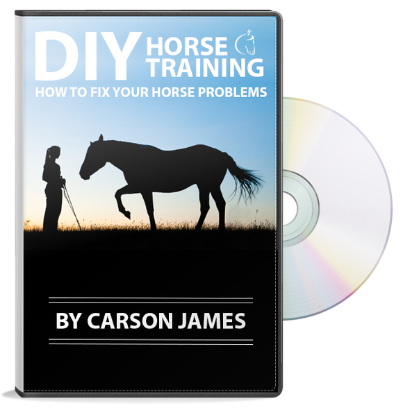 DIY Horse Training DVD