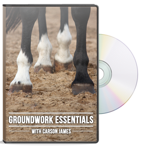 Groundwork Essentials DVD