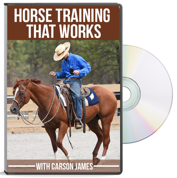 Horse Training That Works DVD