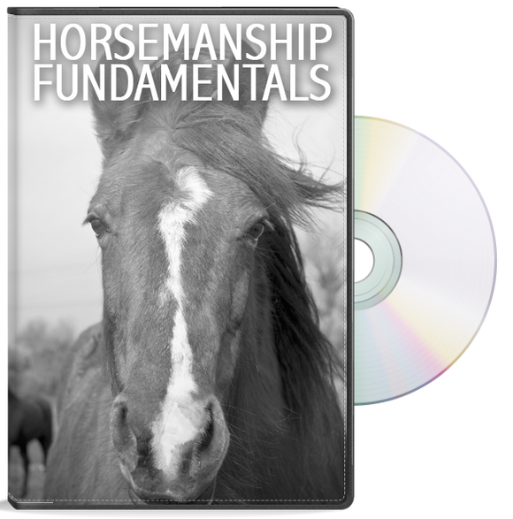Horsemanship Fundamentals DVD